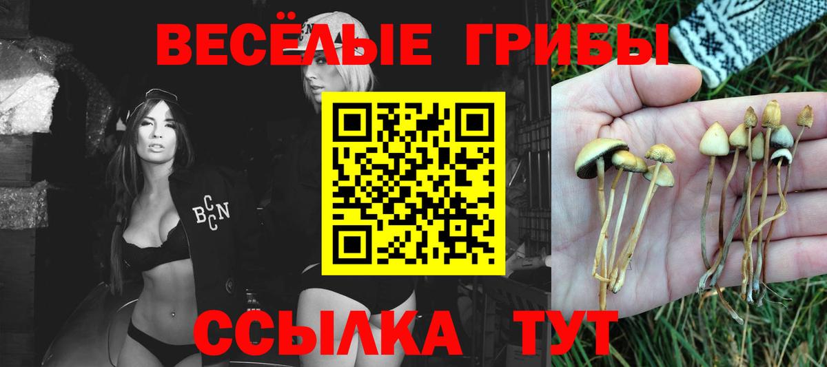 Галлюциногенные грибы мухоморы Якутск